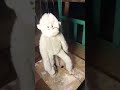 @odumodublvck 10 minutes Zingo Marionnette danse  ❤️ #funny #artwork #viral #cute #traditinal