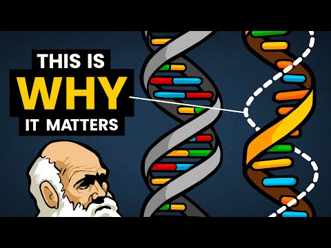 Video: Kodėl RNA yra trumpesnė už DNR?