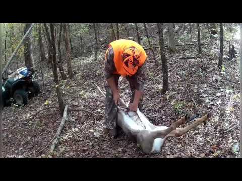 How to field dress a Deer Quickly and easily!! (Under 6min)