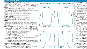 Using the Requisition Form