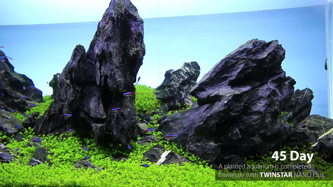 Twinstar Nano Plus - Amazing Setup (english subtitles)
