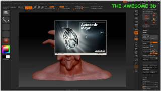 ZBRUSH TO MAYA PIPELINE