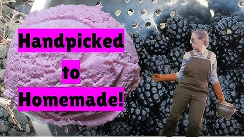 Easy, homemade, AND handpicked blackberry ice cream!