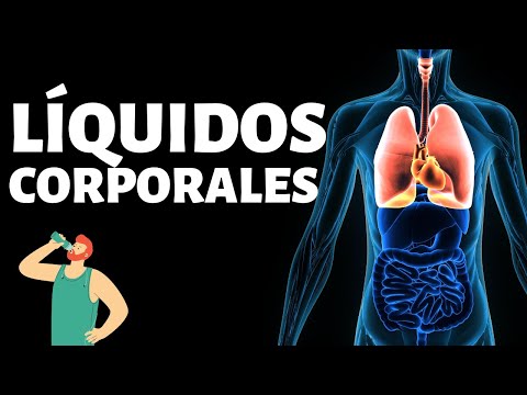 Video: ¿Qué es líquido y tipos de líquido?