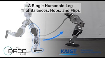 A Single Humanoid Leg That Balances, Hops, and Flips