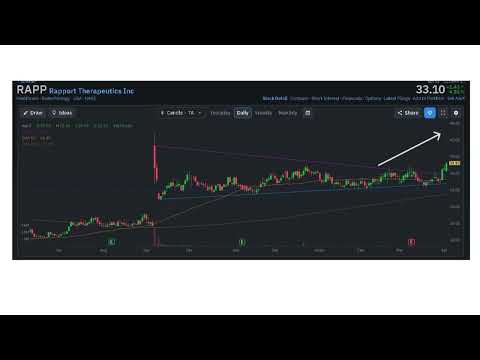 Rapport Therapeutics Inc