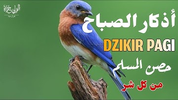 أذكار الصباح_حصن المسلم من كل شر_رقيه وتحصين للبيت_للقارئ | إبراهيم شكر Morning Athkar_dzikir Pagi