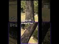 Galaxy S26 Horizon Lock vs Action mode video test