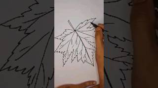How to draw maple leaf easy | maple leaf pencil drawing😍 #shorts #shortsfeed #short #art 😊