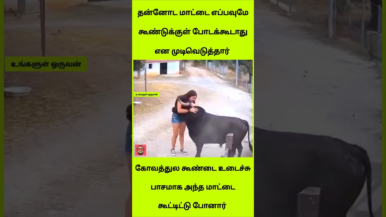 தன்னோட மாட்டை எப்பவுமே கூண்டுக்குள் போடக்கூடாது என முடிவெடுத்தார்! 🥺❤️ #shorts