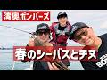 湾奥ボンバーズ 春のシーバスとチヌ