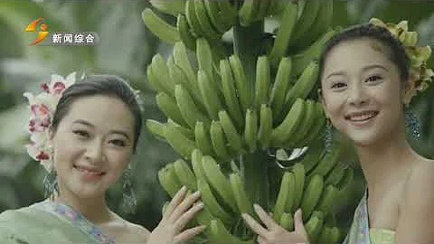 麗江新聞20230225 - 天天要聞