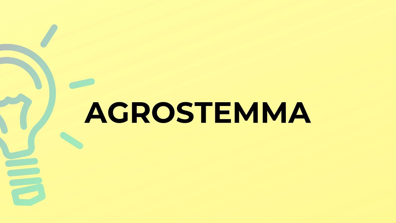 What is the meaning of the word AGROSTEMMA?