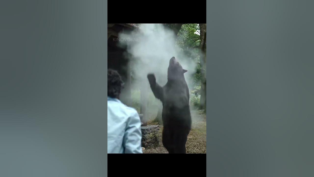 Медведь в кайфах жестких 😅 - YouTube