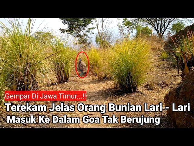 Gempar ‼️ Terekam Jelas Orang Bunian Lari Kedalam Goa class=