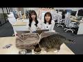 【猫社員もいるよ】今週の『神』口コミ😻くらしのマーケットライブ（6月25日）