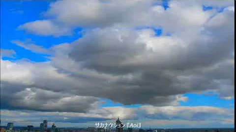 サカナクション Aoi Mp3