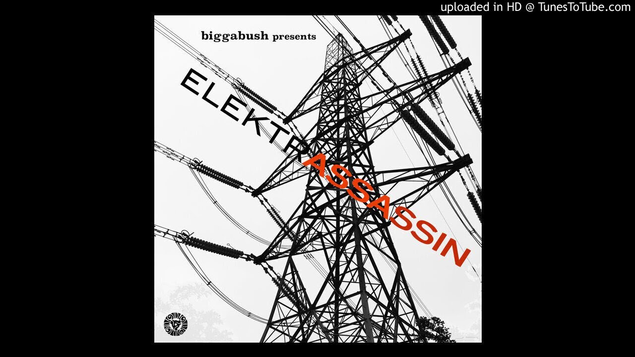 BiggaBush Presents Elektrassassin  - Yunaa