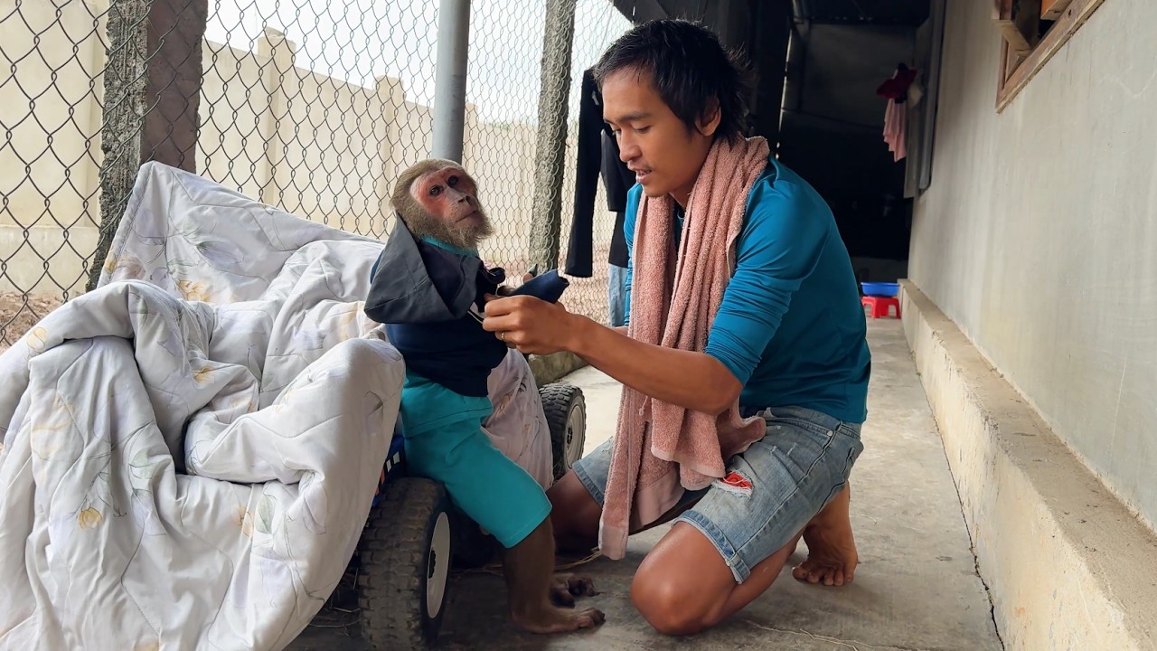 CUTIS humorously thought super car was cold & did special thing