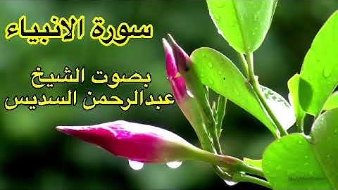 سورة الانبياء كاملة بدون اعلانات بصوت الشيخ عبدالرحمن السديس