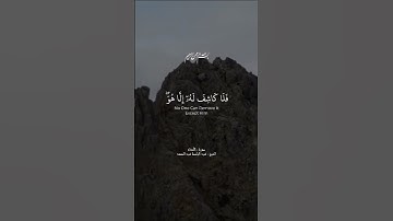 سورة:الأنعام /الشيخ عبدالباسط عبدالصمد رحمه الله تعالى