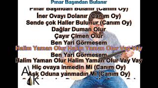 Pınar Başından Bulanır #karaoke  #türkü #türküler #türkülerimiz