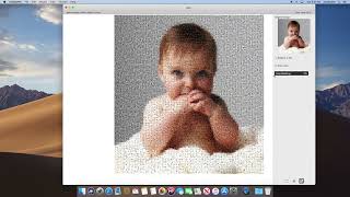 mosaicpro colorization feature - Photo Mosaic app for MacOS screenshot 4