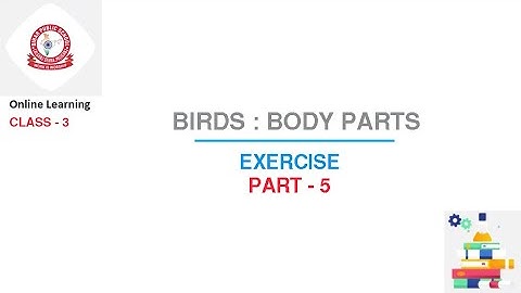 Class 3 Science : Birds : Body Parts | Part - 5 | Exercise
