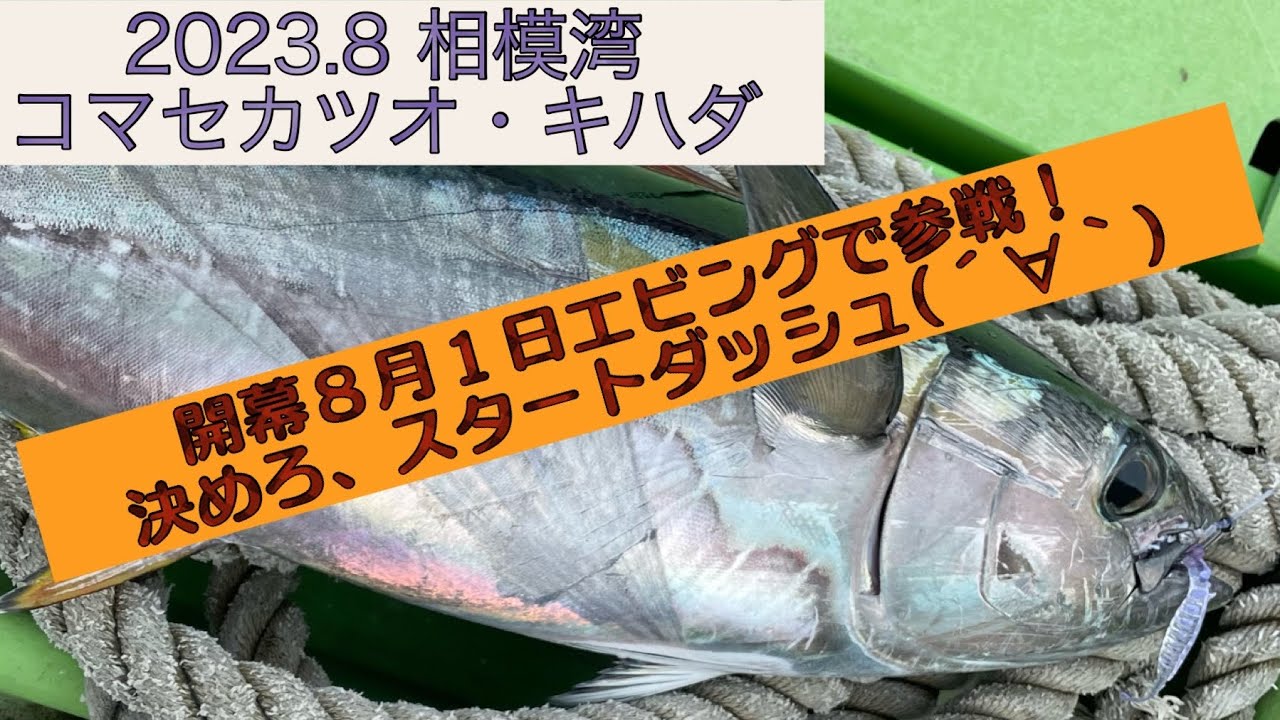 REELS KING TA 5000相模湾 キハダ カツオ コマセ REELS KING TA 5000相模湾 キハダ カツオ コマセ REELS KING TA