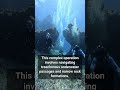 Laos Cave Rescue: More Freed!