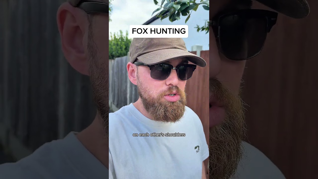 Not cool foxes, not cool.