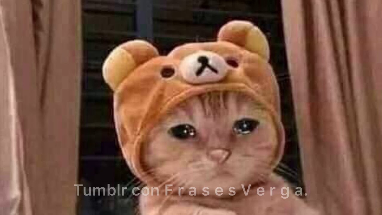 Cuando te veré otra vez mi vida cuando - YouTube