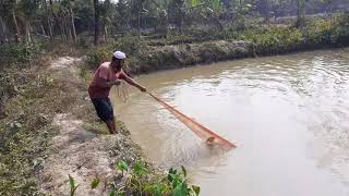 Village Fisherman Amazing Big Fishing Catching Skill - TRADITIONAL NET FISHING  ▶101 EP