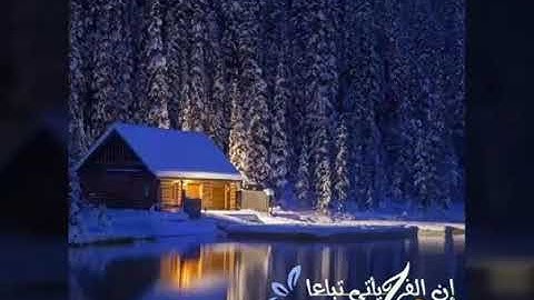 الشيخ جابر شرقاوي جامع سيدي عمر صلاة العشاء سورة  عبس