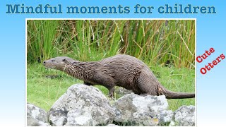 Mindful Moments for Children | Cute Otters | Kid’s well-being by Learning with Lisa 59 views 1 year ago 2 minutes, 12 seconds