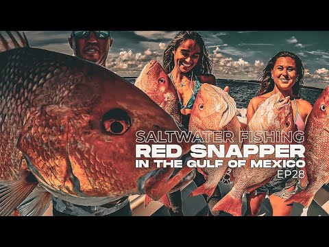 Saltwater Fishing Red Snapper: Bottom Fishing in the Gulf of Mexico