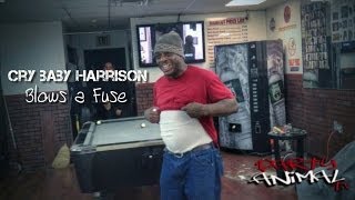 CRY BABY HARRISON BLOWS A FUSE