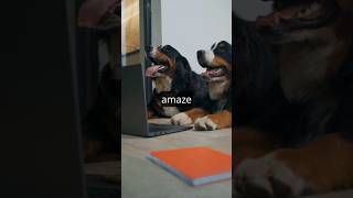 Dogs facts to amaze you: #shorts #youtube