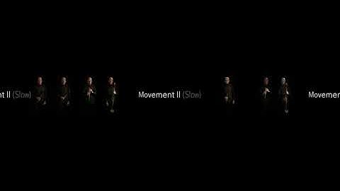 Roeland Hendrikx - New York Counterpoint by Steve Reich - 360° video and immersive audio