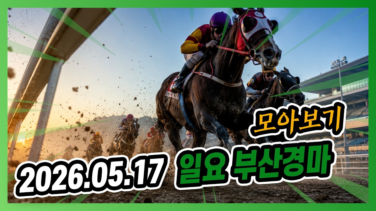 2026년 5월 17일 일요 부산경마 전체경주 모아보기