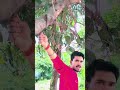 YE_DIL _TO _PYAR_MAGE_H#viral #trendingreels #vairalvideo #viralreels #instagramreels #trendingnow