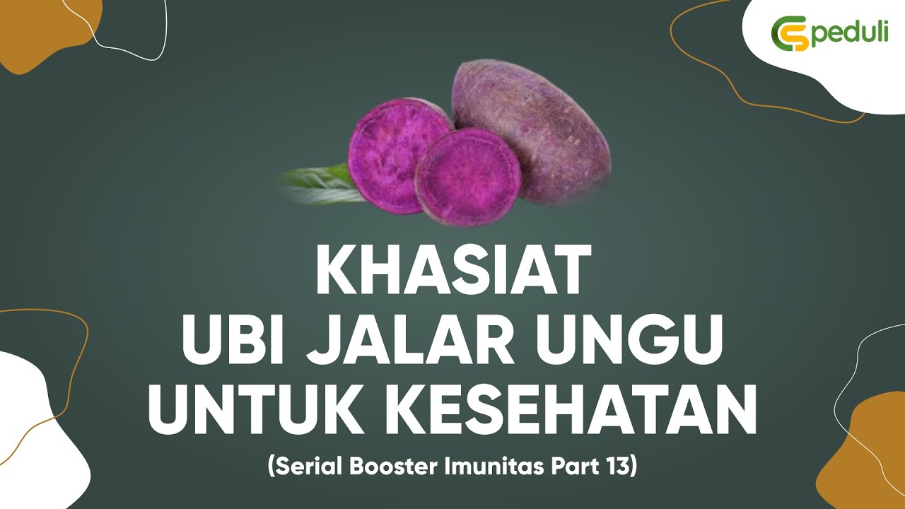 Khasiat Ubi Jalar Ungu - (Seri 13) 