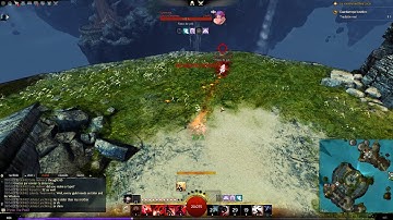 Guild Wars 2 hacker exposed