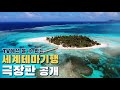 세계테마기행 사이판 🏝 극장판 대공개!