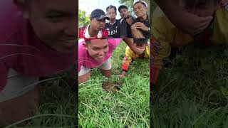 Kena Kotoran Sapi fypviral short lucu