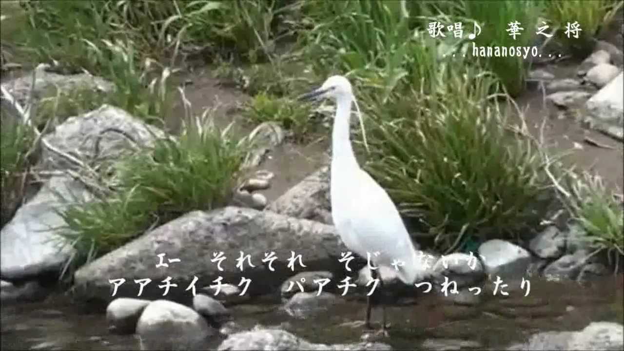 白鷺三味線 高田幸吉 隠れた名曲Part_76 Cover 華之将 - YouTube