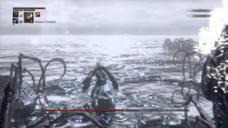 Bloodborne: Spider