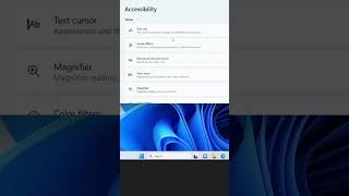 How to Enable or Disable Magnifier on Windows 11/10