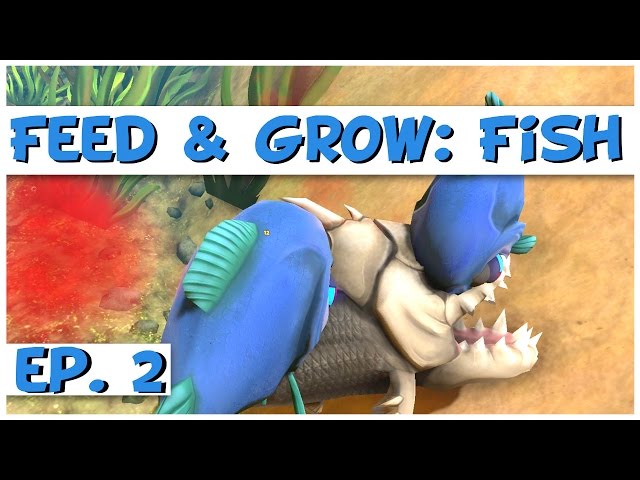 THE SWORDFISH IS AMAZING - New Feed and Grow Fish Update! - Part 22