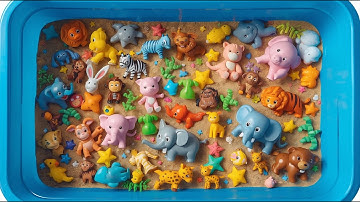 100 Creatures on the Go! Land Racers, Water Dashers & Friendly Fliers